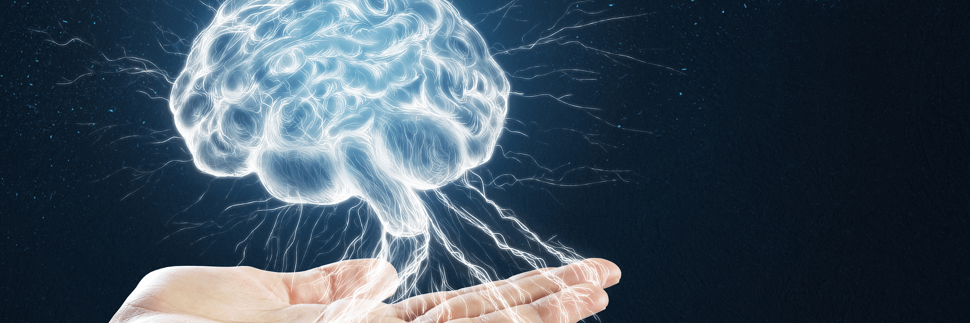 Das neurodivergente Gehirn: Interessenbasiertes Funktionieren als Schlüssel zur Stärke