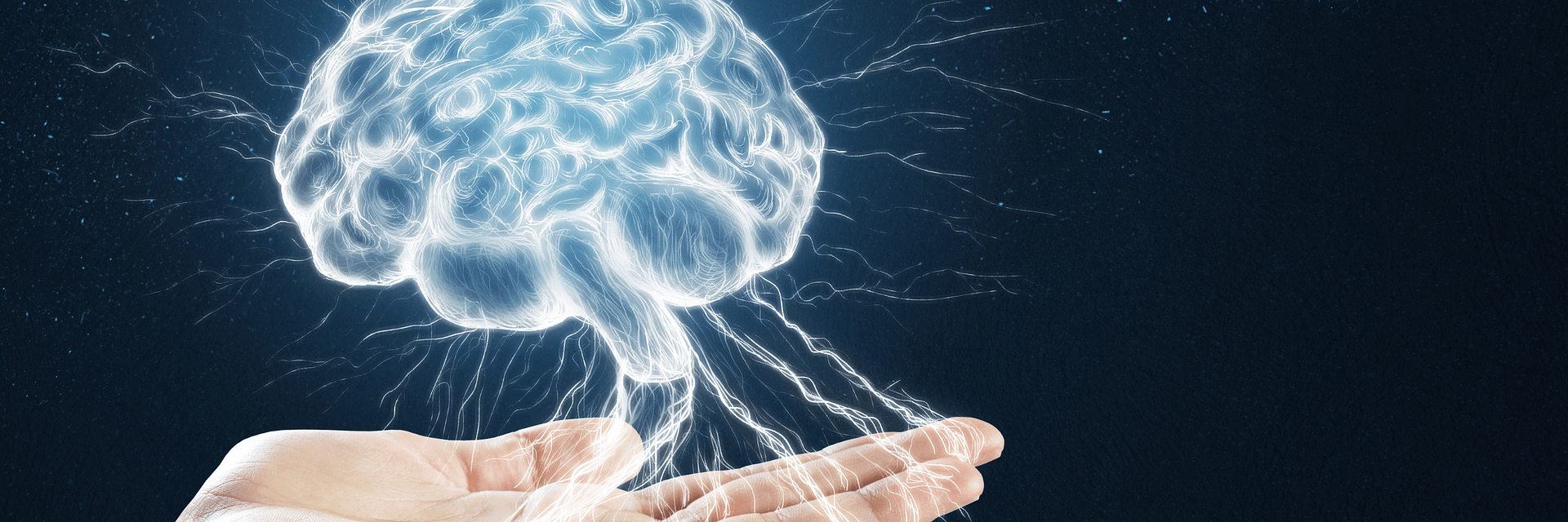Das neurodivergente Gehirn: Interessenbasiertes Funktionieren als Schlüssel zur Stärke