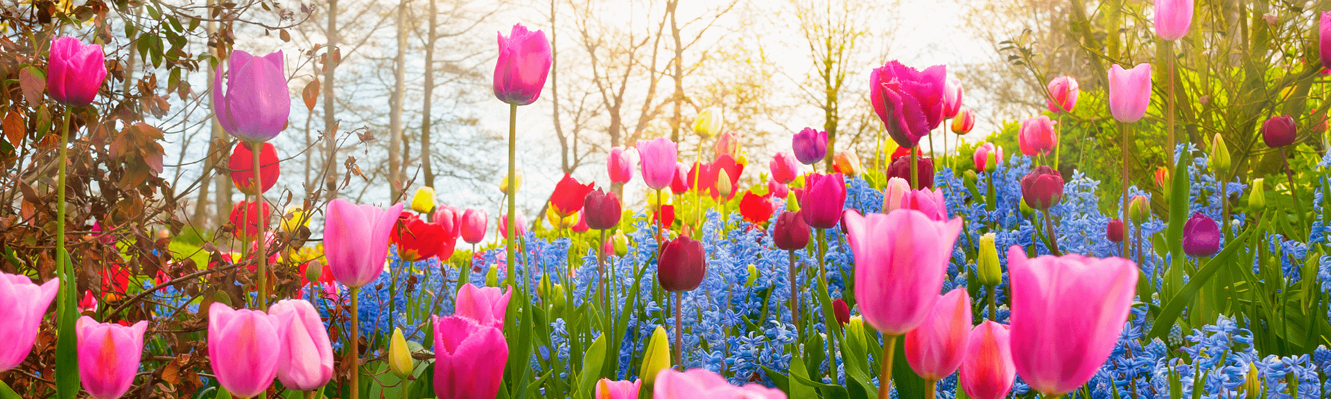 Zyklisches Leben- Frühling als deine Chance